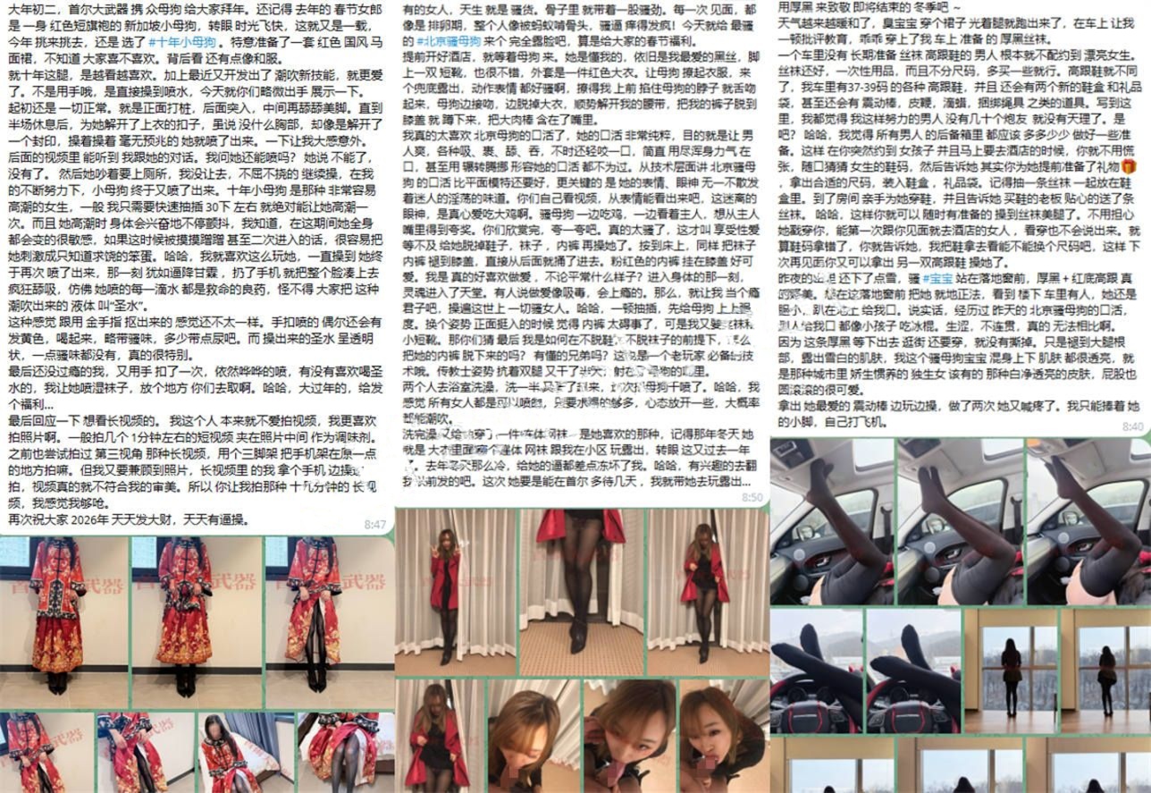 顶级大神【首尔大武器】3月最新约啪九位极品美女